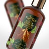 Shampoo Revitalizante capilar anticaída de Extracto de Ginseng