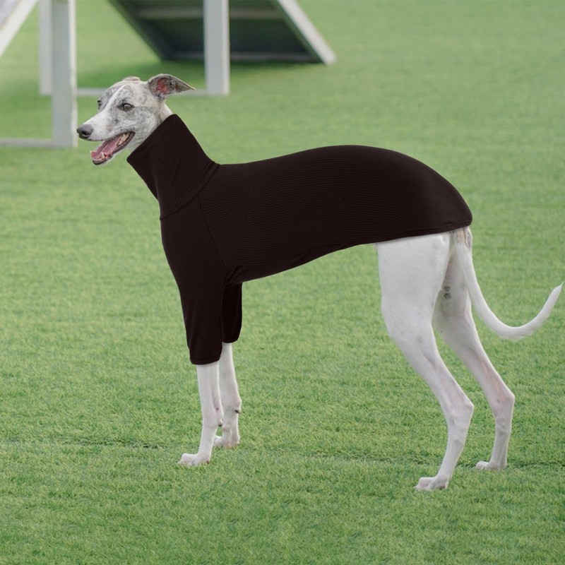 Salukis Greyhound Sweater - Warm Dog Pullover Coat with Legs