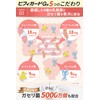5 Types of Lactobacillus Butyric Acid Bacteria, 92.7 billion Pieces,