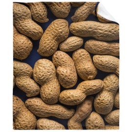 Peanut Blanket Funny Food Throw Blanket for Sofa Chairs Bed, Good Blanket Gift, Lightweight Soft and Cozy 50" x 40" for Kid