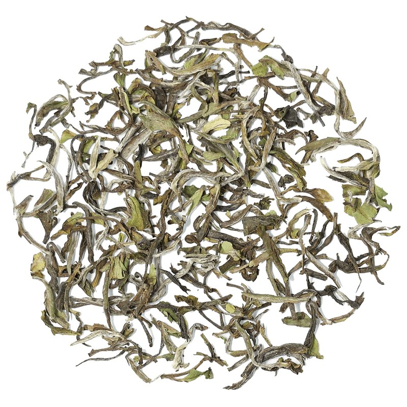 OKAYTI Tea Garden Darjeeling 2024 Spring Picked Tea Moonlight First