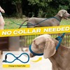 Fida 2-in-1 Slip Leads for Dogs with Double Handles, Tangle