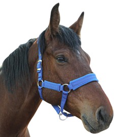 NIUTRIP Horse Halter with Wool Lining, Adjustable Halter for Horses Satin Hardware to Prevent Friction, Breakaway Halters for Horses,Perfect for Traction and Performance