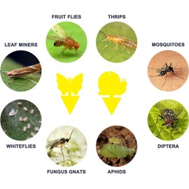 Gideal 36-Pack Dual-Sided Yellow Sticky Traps for Flying Plant Insect Fungus Gnats Flies Aphids Leafminers Thrips