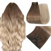 Easyouth Clip in Hair Extensions Ombre Clip in Hair Extensions