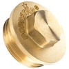 Poppstar Brass Plug 1 Inch Male Thread (BSP G 1