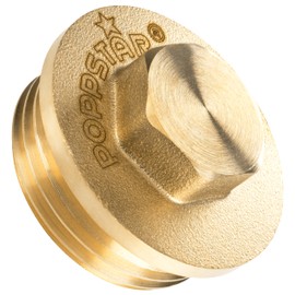 Poppstar Brass Plug 1 Inch Male Thread (BSP G 1 Inch (33.3 mm), up to 50 bar, 19 mm Hexagonal)