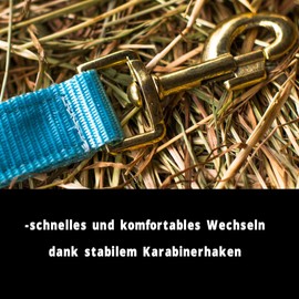 Horse Halter for Warm-Blood, Thoroughbred and Cold-Blood – Stable Halter, Field Halter, 2 Adjustable Positions on Chin Strap and Headpiece, Safe & Tear-Resistant