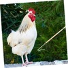 BESPORTBLE Artifact for Chicken Catching Accessories for Chicken Coops, Chicken