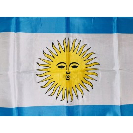 Unbranded Argentina 3’ x 5’ Flag Banner Bandera Futbol Football Soccer Copa America 2024!