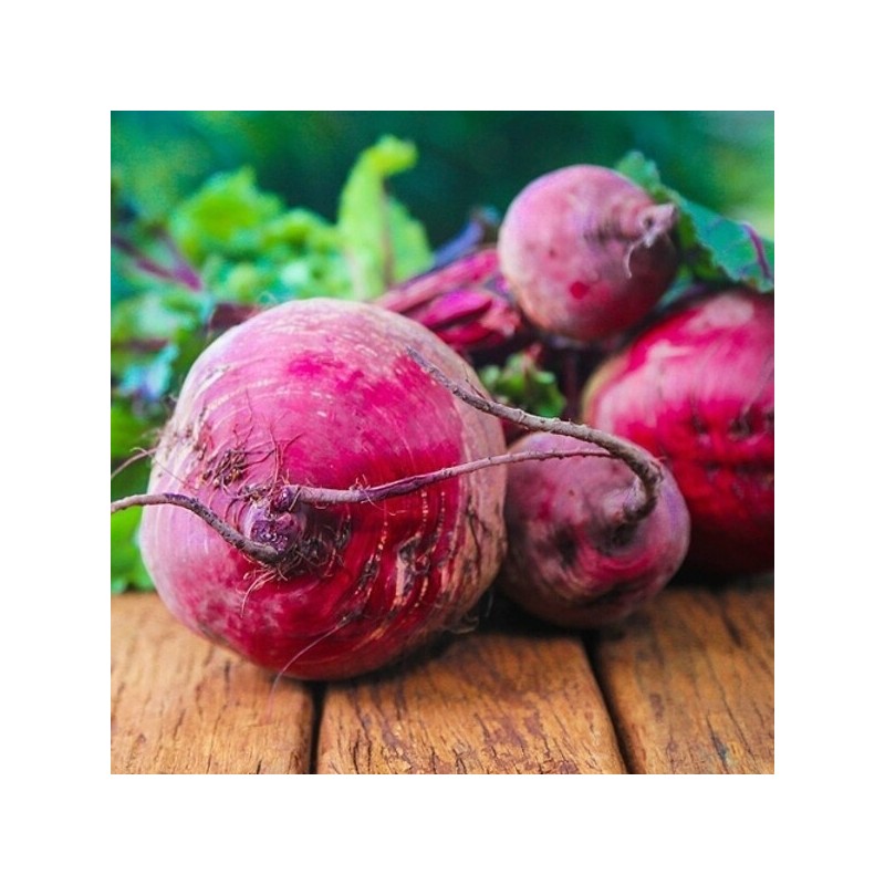 농담 국내산 비트 2kg Domestic Beets 2kg