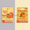 Burts Bees Sweet Mandarin Bálsamo labial hidratante unisex 0.15 oz