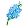 Forget Me Not Flower - 12" Vinyl Sticker Waterproof Decal