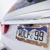 Bling 2PCS Car License Plate Frame, Handcrafted Crystal Stainless Steel