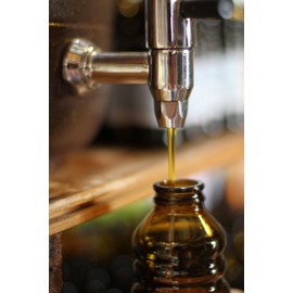 Original Radduscher Leinöl aus dem Spreewald Dorf Raddusch kaltgepresst, ungefiltert 100% naturrein und naturbelassen Leinsamenöl Omega 3 vegan reines Naturprodukt aus dem Spreewald (250 ml)