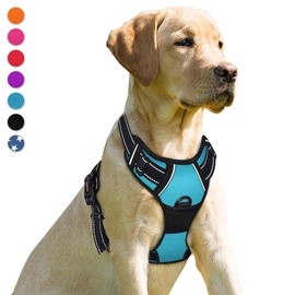 BARKBAY No Pull Dog Harness Front Clip Heavy Duty Reflective Easy Control Handle for Large Dog Walking(Blue,XL)