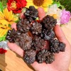 Raw Rough Prophecy Stone Pseudomorph Crystal Reiki Mineral Rocks Specimens-1pcs