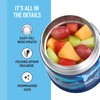 THERMOS FUNTAINER 10 Ounce Stainless Steel Vacuum Insulated Kids Food