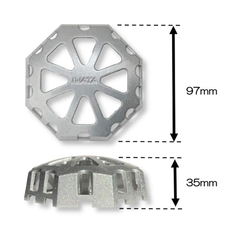 Iwata Drain Strainer for Vertical Type, Silver, D-1/1 Piece