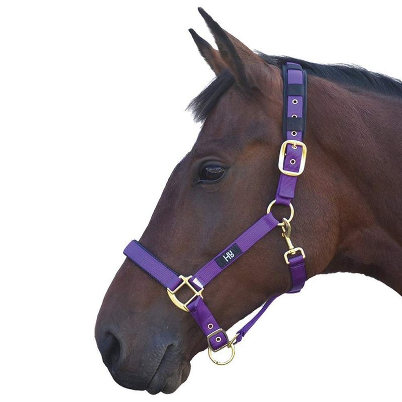 Hy Deluxe Padded Head Collar: Green: full size