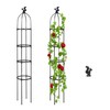 Gardening Climbing Vine Plant Climbing Vine Trellis for Climbing Plants