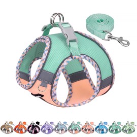 AIITLE Tiny Dog Harness - Lightweight Mesh Step-in Vest for Puppy, Reflective & Escape-Proof Design with High-Stick Magic Tape - Outdoor Use for Chihuahua, Maltese, Shih Tzu(Turquoise-Pink, XXXS)