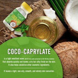 Artekas Innovation COCO-CAPRYLATE - Emollient - Liquid - 200 g (7.06 oz) - For Formulations and DIY Skin, Body, Face, Personal, Hair Care - Shower Products, Conditioning, Shampoos