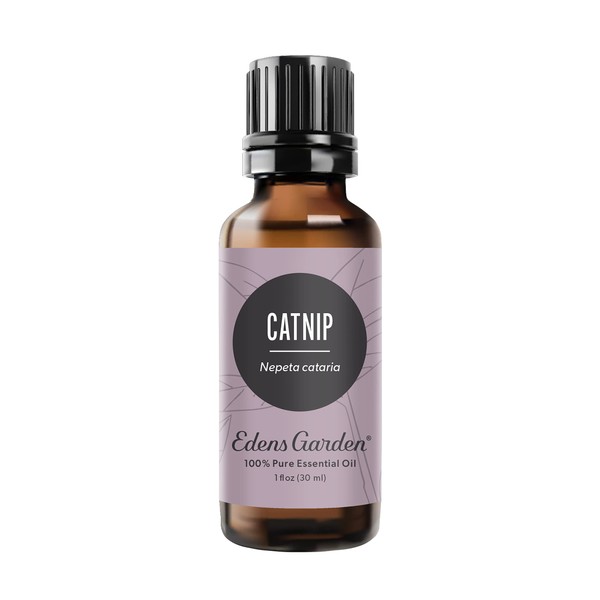 Edens Garden Catnip Essential Oil, 100% Pure Therapeutic Grade (Undiluted Natural/Homeopathic Aromatherapy Scented Essential Oil Singles) 30 ml