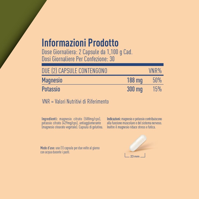 LongLife® Magnesium K | Integratore magnesio e potassio | Funzione