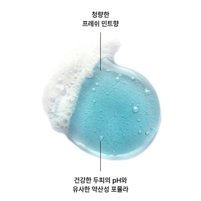 Aqua Mint 아쿠아민트 딥클렌징 쿨링 샴푸 400ml 2개 Aqua Mint