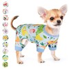 Dog Pajamas for Small Dogs Girl Boy Puppy Pjs Summer