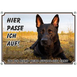 Petsigns Dog Sign Black German Shepherd - UV-Resistant Metal Warning Sign DIN A4