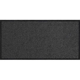 Salonloewe Doormat 030 x 060 cm Anthracite Doormat Indoor Outdoor Dirt Trapper Mat Clean Running Carpet
