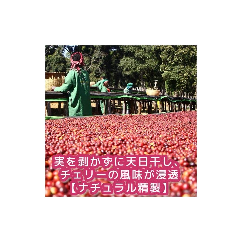 Coffee, Raw Beans, Mocha, Ilgachev, Natural G1, Ethiopia, Galaxy Coffee