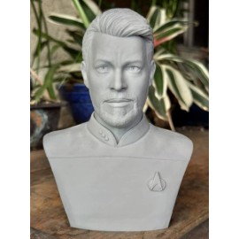 Star Trek The Next Generation William T. Riker  3D Printed Bust 6.75Inches