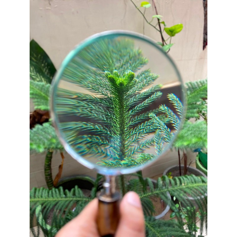 FYNJREX Bronze Brass Magnifying Glass, 4" Lens, 10x Magnification, Antique