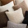 Joyouth Pack of 2 Curly Teddy Wool Faux Fur Throw