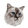 BIRMAN CAT Embroidered Face Mask with or without Rhinstones