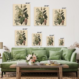 Poster Master Vintage Wild Flower Canvas - Retro Botanical Print - Exotic Plant & Orchid Art - Gift for Men & Women - Floral Decor for Living Room, Kitchen or Office - Available in 8x10 to 30x40