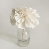 5 Magnolia Lilliflora 3" Sola Flower Reed Diffuser for Home
