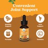 Organic Turmeric Liquid Drops for Adults - Liquid Turmeric Curcumin