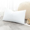 Artscope Luxury Velvet Cushion Covers Decorative Rectangle Pillowcases Soft Solid