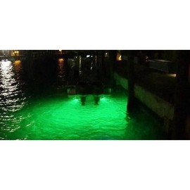Ultimate Green LED Underwater Light | 1200 Lumens Waterproof Design for Night Fishing & Boat Docks