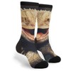 YISHOW Bearded Dragon Lizards Unisex Novelty Crew Socks Casual Funny