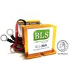 36 Volt Battery Desulfator