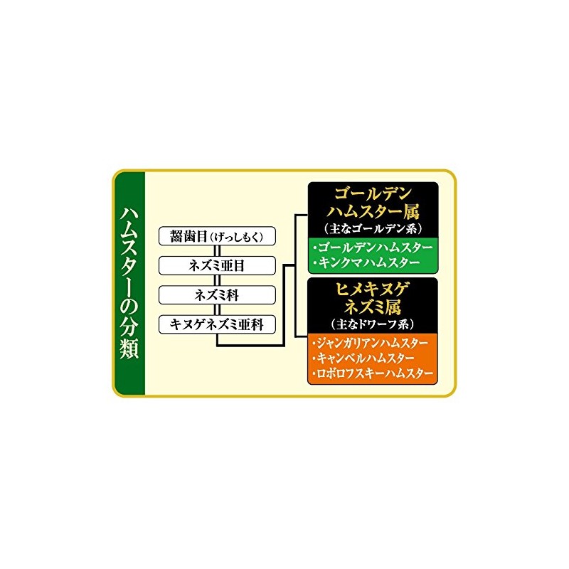 GEX Gex Saishokken Hamster Blend for Golden Hamsters, 300g
