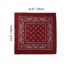 Bycc Bynn 3 Pack Pure Cotton Paisley Pattern Bandanas Square Scarf Headwear (Burgundy + Dark Green + Light Grey)
