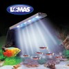Lomas LUMINARIO LED NANO SPECTRUM 3 W (15 CM).