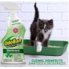 OdoBan Odor Eliminator Disinfectant, 32 oz Spray, Eucalyptus