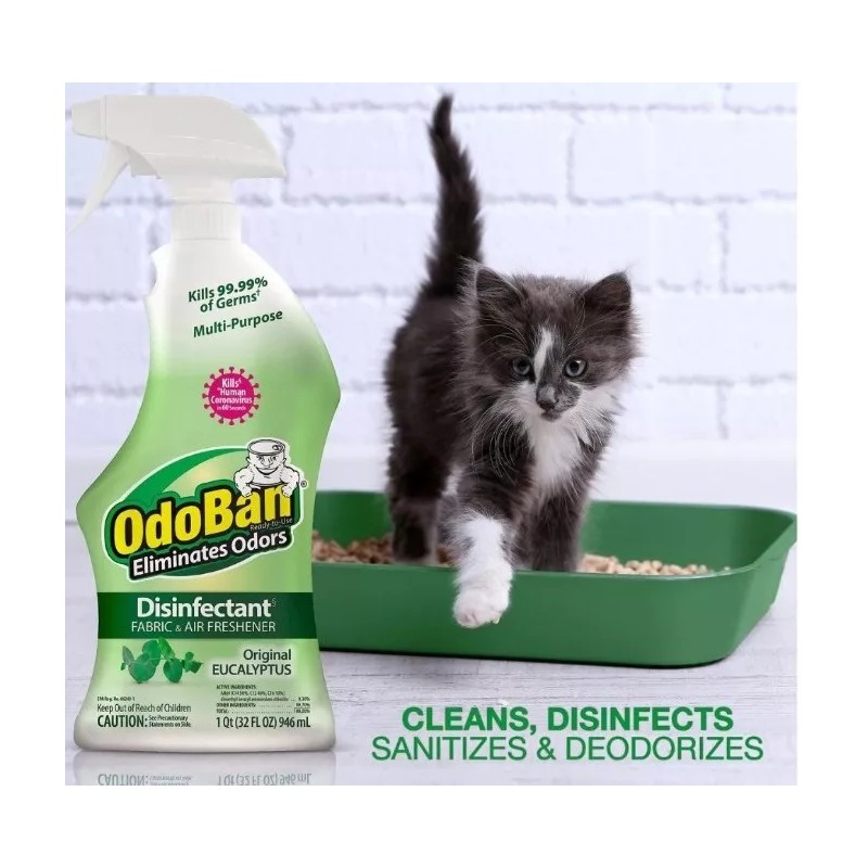 OdoBan Odor Eliminator Disinfectant, 32 oz Spray, Eucalyptus